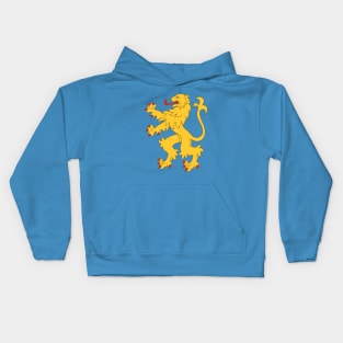 Sheldon's Apartment Flag Kids Hoodie